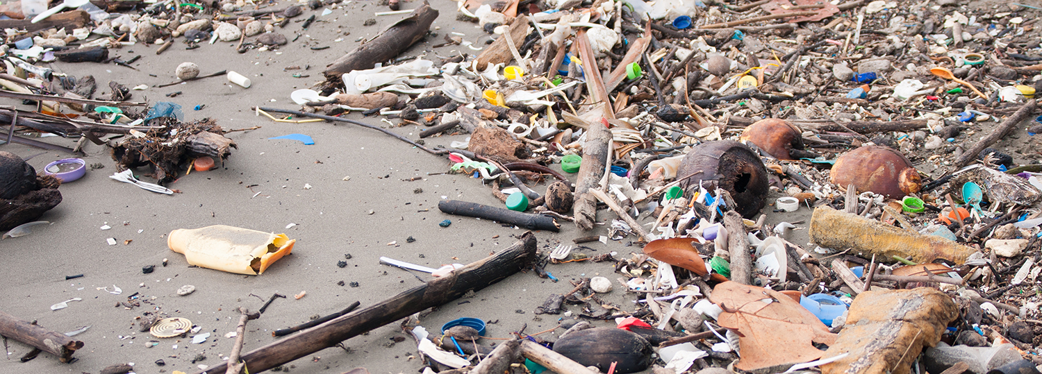 Pollution de la plage. Bouteilles en plastique et autres déchets sur la plage de la mer de Livingston, au Guatemala.